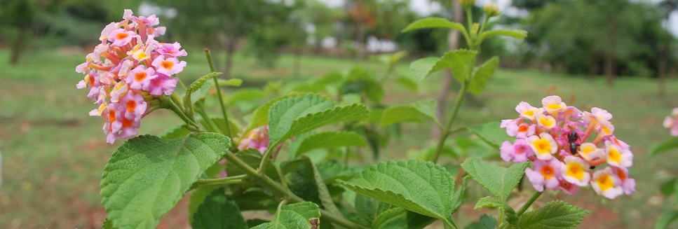 banner3.jpg